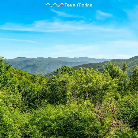 Pina Riccò del Golfo di Spezia